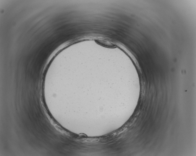 X0000084000861200703161646