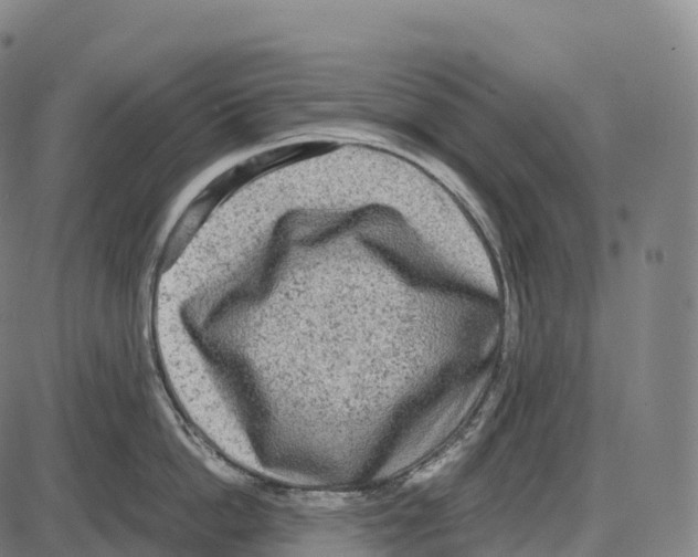 X0000084000862200703161646