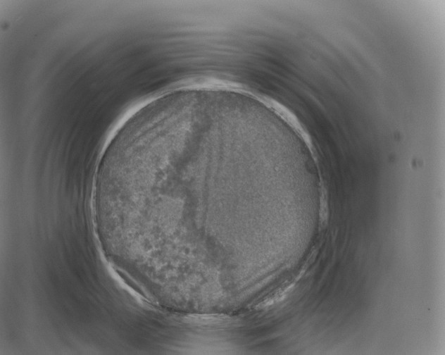 X0000084000863200703161646