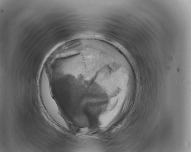 X0000084000864200703161646