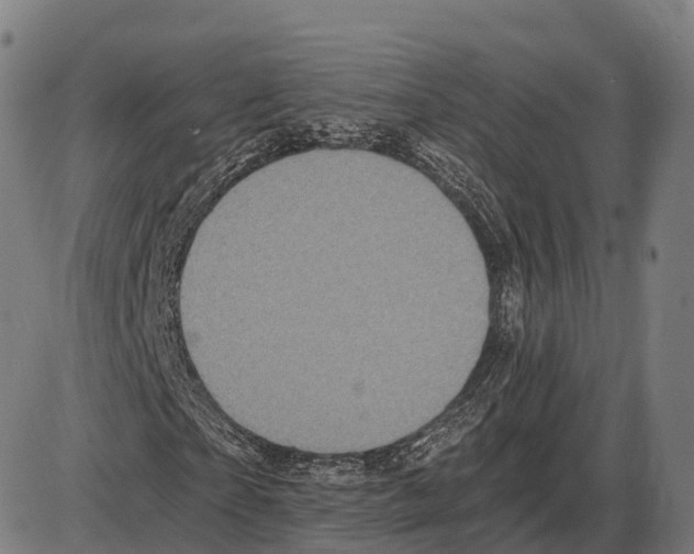 X0000084000865200703161646