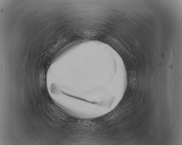 X0000084000866200703161646