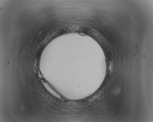 X0000084000867200703161646