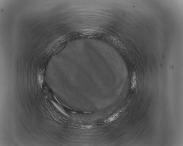 X0000084000868200703161646