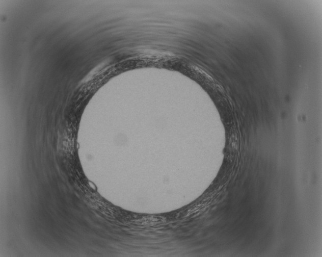 X0000084000869200703161646