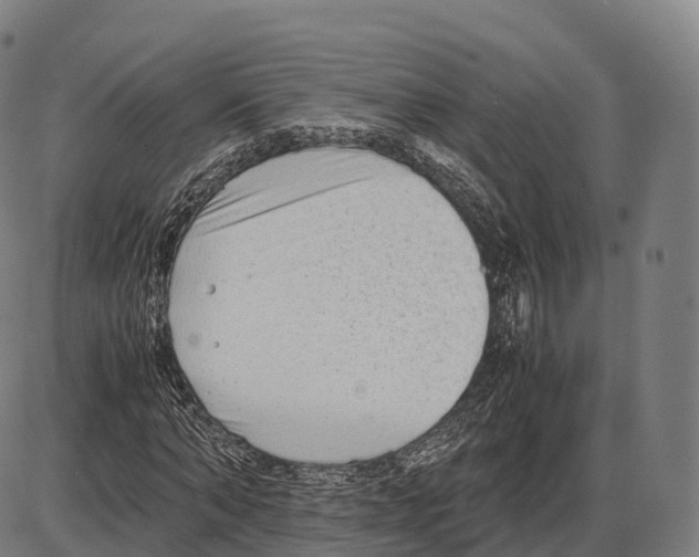 X0000084000870200703161646