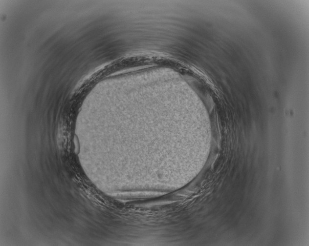 X0000084000872200703161646