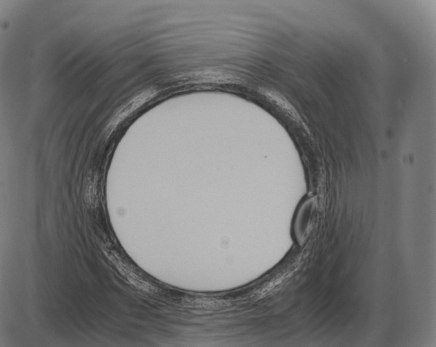 X0000084000873200703161646