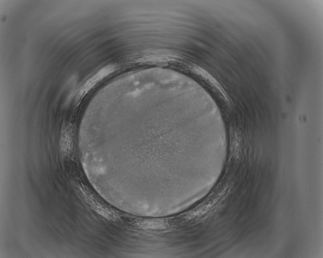 X0000084000874200703161646