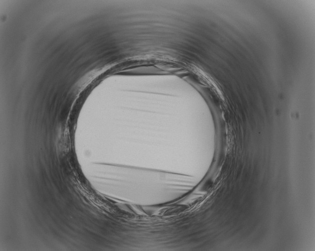 X0000084000876200703161646