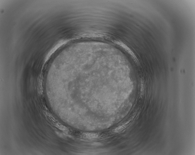 X0000084000878200703161645