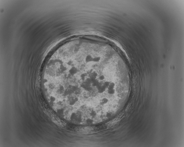 X0000084000879200703161645