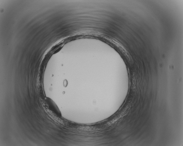 X0000084000880200703161645