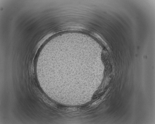 X0000084000883200703161645