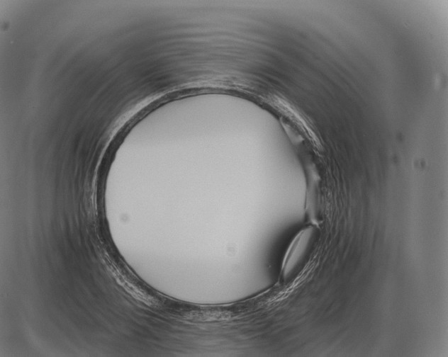 X0000084000884200703161645