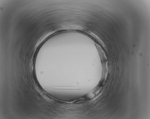 X0000084000885200703161645