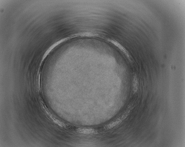 X0000084000886200703161645