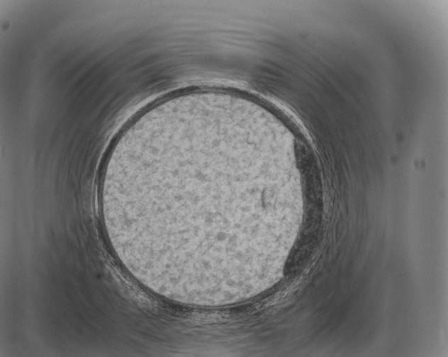 X0000084000887200703161645