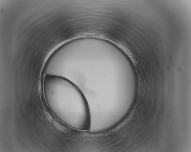 X0000084000888200703161645