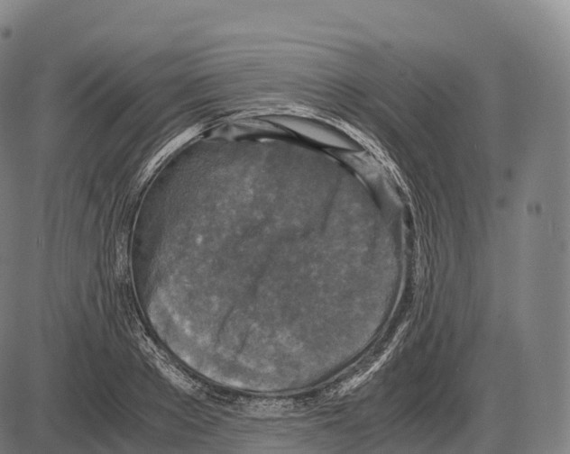 X0000084000889200703161645