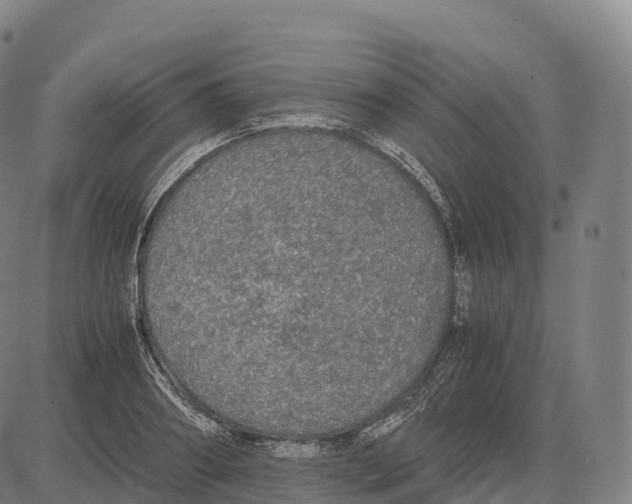 X0000084000890200703161645