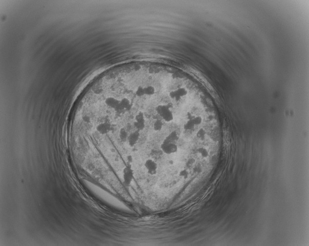 X0000084000891200703161645