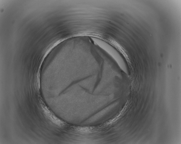 X0000084000892200703161645