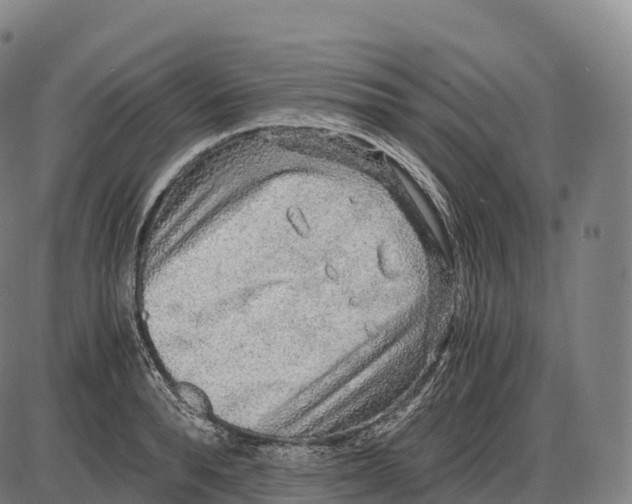 X0000084000896200703161645