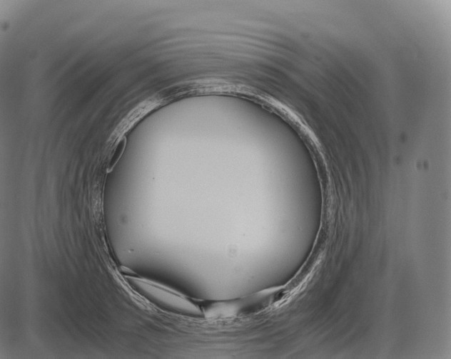 X0000084000897200703161645