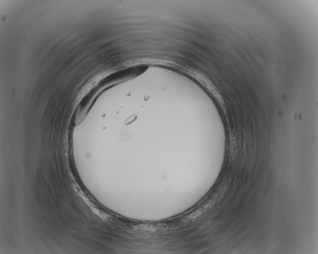 X0000084000898200703161645