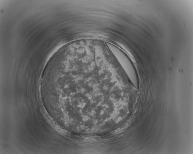 X0000084000899200703161645