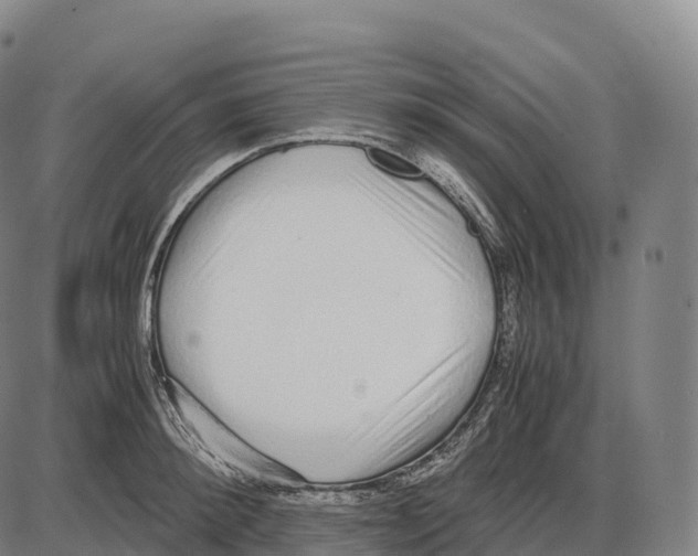 X0000084000900200703161645