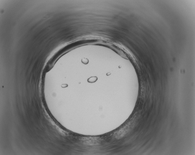 X0000084000902200703161645