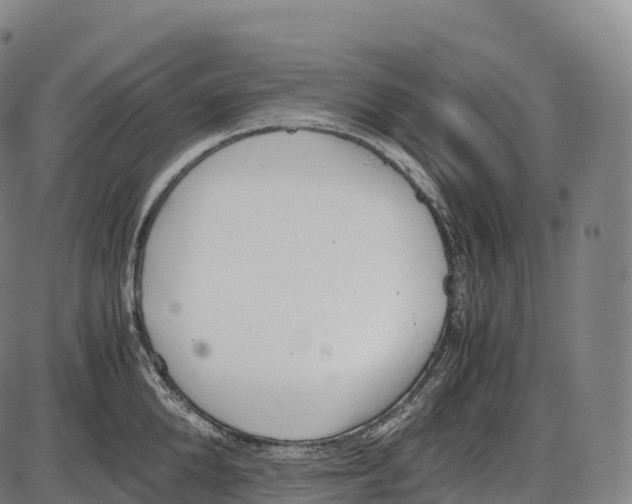 X0000084000904200703161645