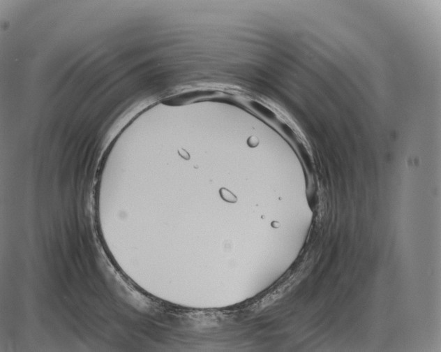 X0000084000906200703161645