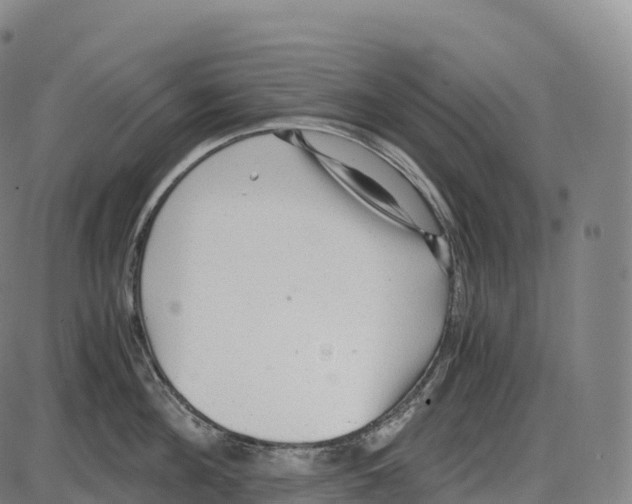 X0000084000908200703161645