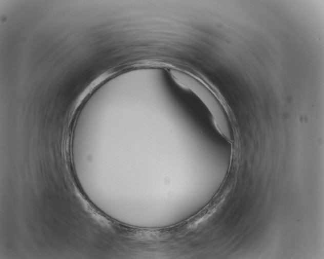 X0000084000909200703161645