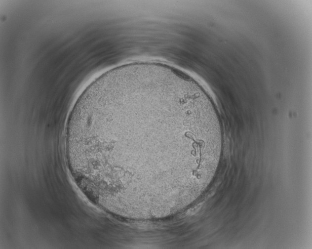 X0000084000911200703161645