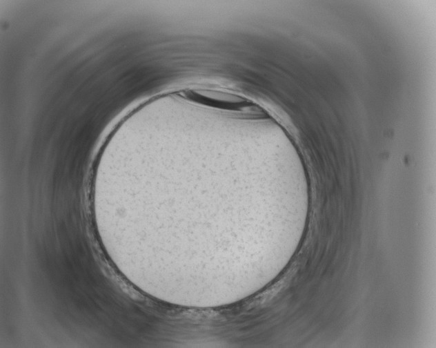 X0000084000912200703161645