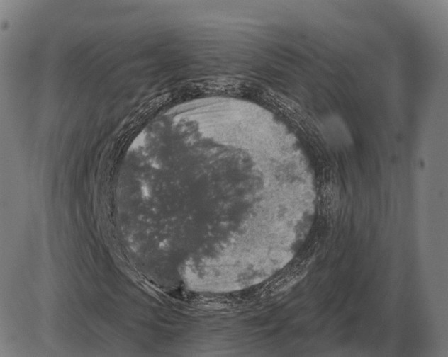 X0000084000913200703161644