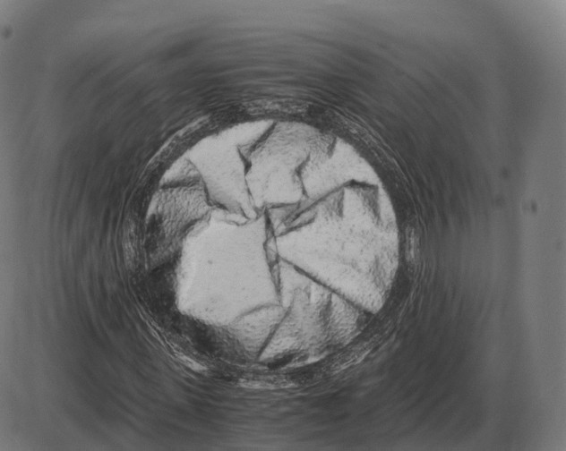 X0000084000915200703161644