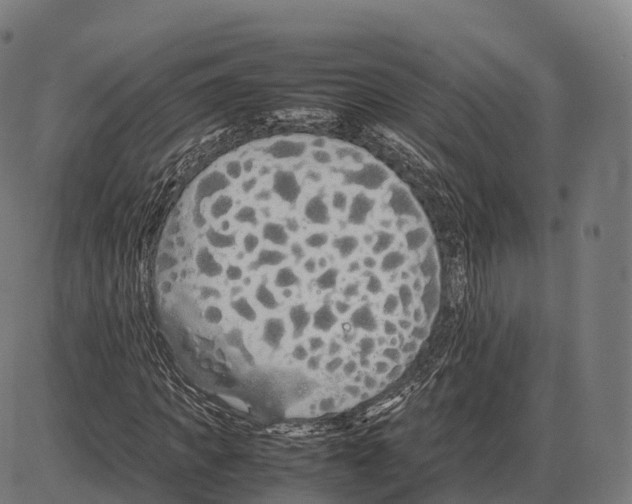 X0000084000917200703161644