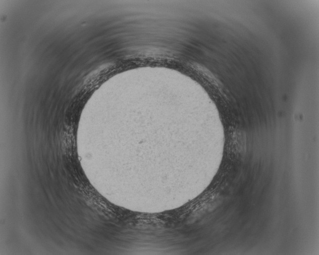 X0000084000918200703161644