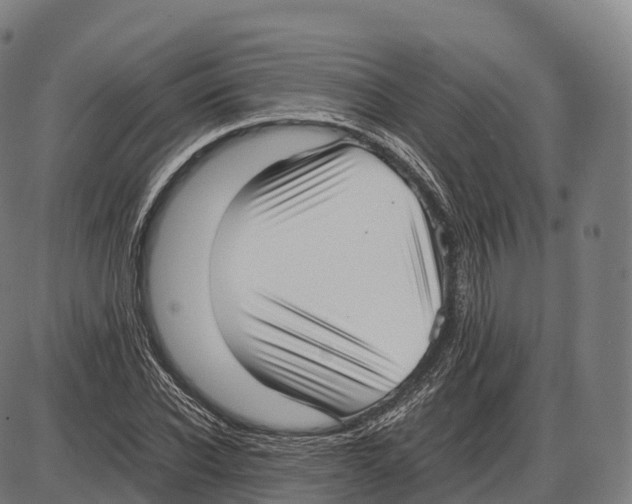 X0000084000926200703161644
