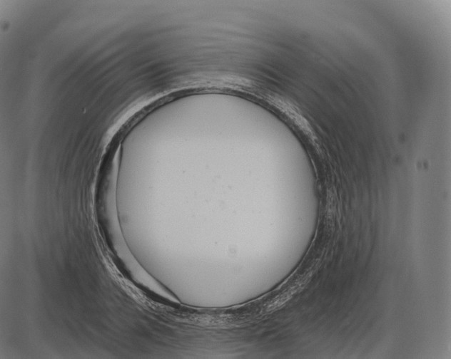 X0000084000936200703161645