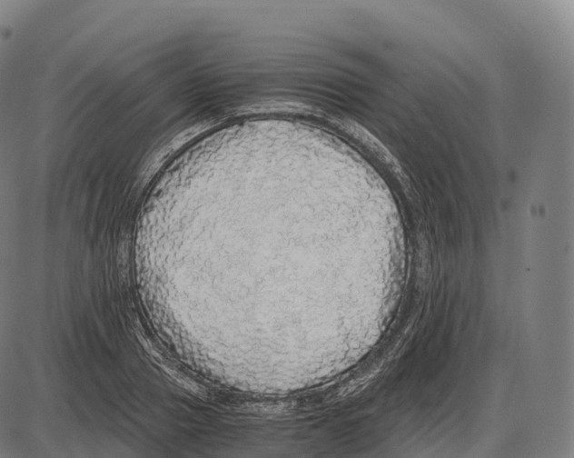 X0000084000937200703161645