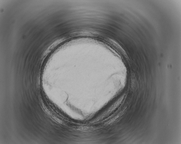 X0000084000938200703161645