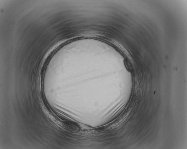 X0000084000939200703161645