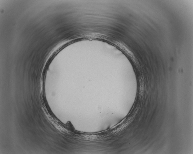 X0000084000940200703161645