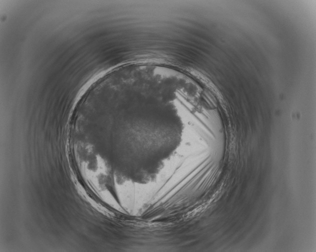 X0000084000941200703161645